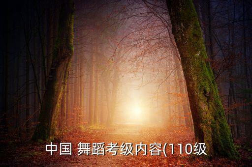 中国 舞蹈考级内容(110级