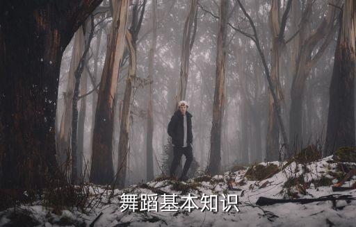  舞蹈基本知识