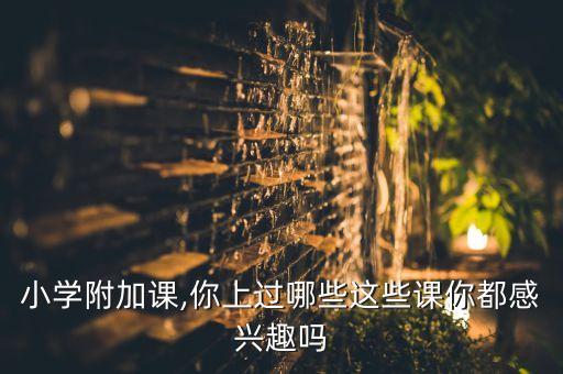 小学附加课,你上过哪些这些课你都感兴趣吗