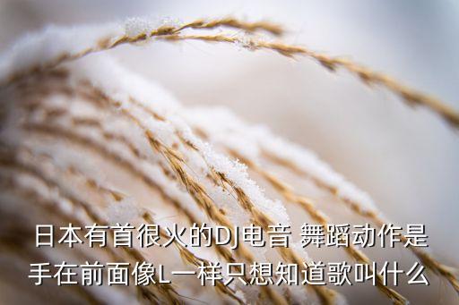 日本有首很火的DJ电音 舞蹈动作是手在前面像L一样只想知道歌叫什么