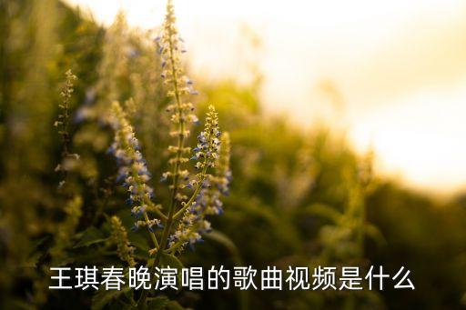 王琪春晚演唱的歌曲视频是什么