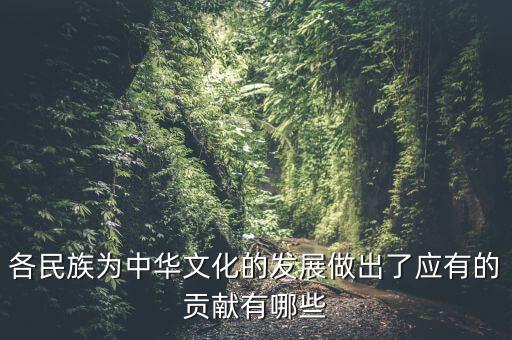 各民族为中华文化的发展做出了应有的贡献有哪些