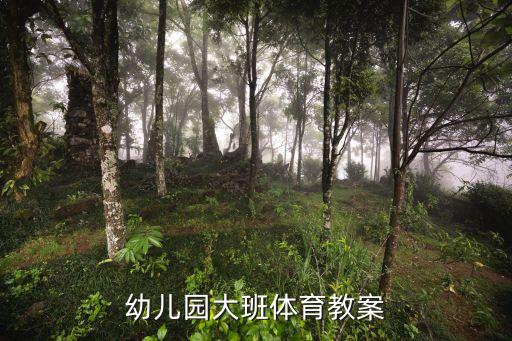 幼儿园大班体育教案