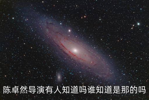 陈卓然导演有人知道吗谁知道是那的吗
