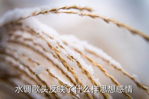 水调歌头反映了什么样思想感情
