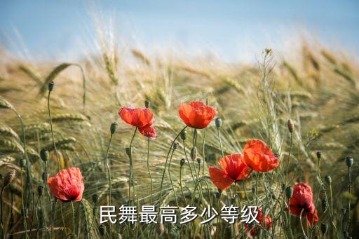 民舞最高多少等级