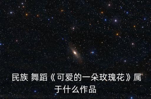  民族 舞蹈《可爱的一朵玫瑰花》属于什么作品
