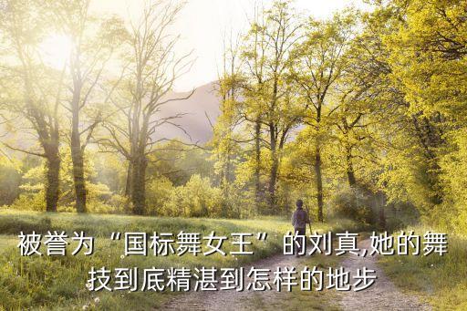 避风港舞蹈分解教学