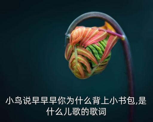 小鸟说早早早你为什么背上小书包,是什么儿歌的歌词