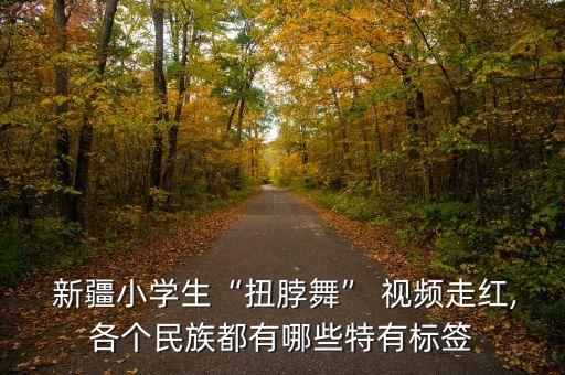 新疆开场舞蹈视频大全,幼儿园六一开场舞蹈视频大全