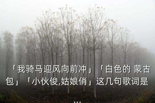 「我骑马迎风向前冲」「白色的 蒙古包」「小伙俊,姑娘俏」这几句歌词是...