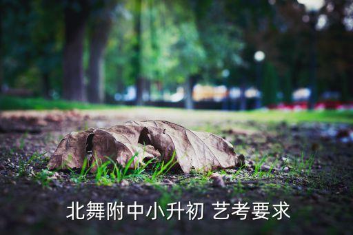 北舞艺考舞蹈招生身高,2021北舞艺考招生标准