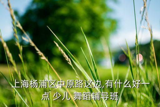  上海杨浦区中原路这边,有什么好一点 少儿 舞蹈辅导班
