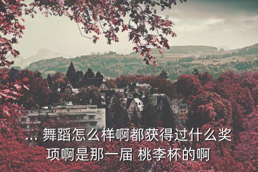 ... 舞蹈怎么样啊都获得过什么奖项啊是那一届 桃李杯的啊