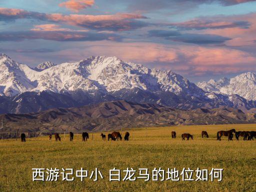 西游记中小 白龙马的地位如何