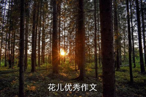 无名花类似舞蹈,舞蹈无名花的主题内容