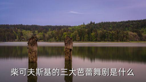 舞蹈《睡美人》中,《睡美人》是的经典舞蹈