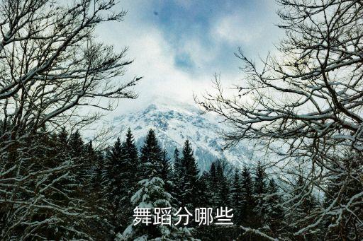 舞蹈分哪些
