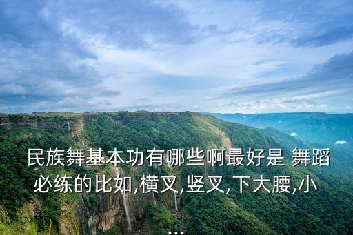  民族舞基本功有哪些啊最好是 舞蹈必练的比如,横叉,竖叉,下大腰,小...