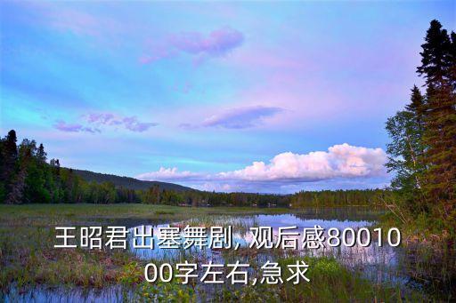 王昭君出塞舞剧, 观后感8001000字左右,急求