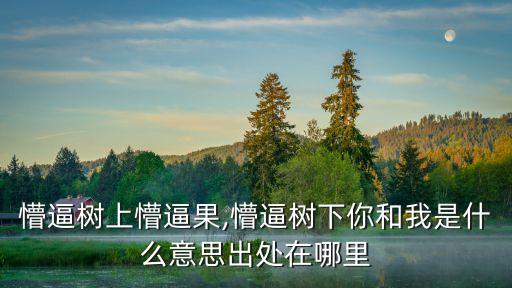 懵逼树上懵逼果,懵逼树下你和我是什么意思出处在哪里