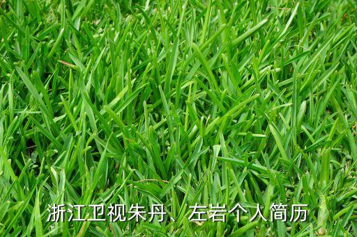 浙江卫视朱丹、左岩个人简历
