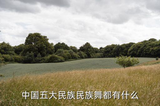 中国五大民族民族舞都有什么