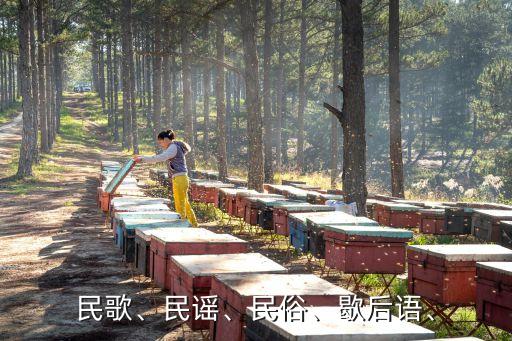 韭菜花儿开歌曲舞蹈慢动作,幼儿舞蹈韭菜花儿开舞蹈串词