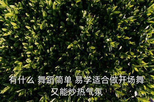 有什么 舞蹈简单 易学适合做开场舞又能炒热气氛