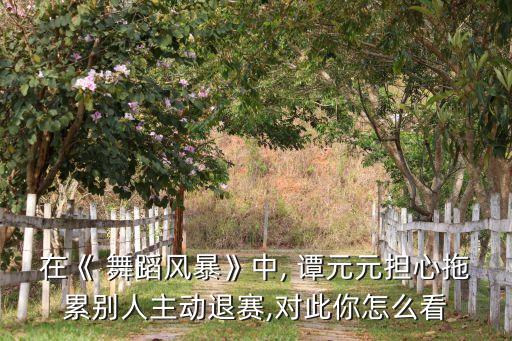 在《 舞蹈风暴》中, 谭元元担心拖累别人主动退赛,对此你怎么看