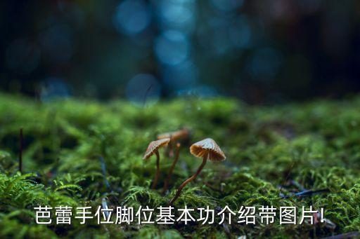 芭蕾手位脚位基本功介绍带图片!