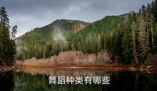  舞蹈种类有哪些