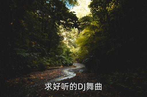 求好听的DJ舞曲
