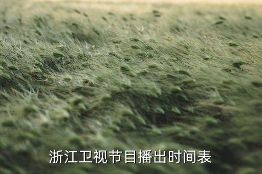 浙江卫视节目播出时间表