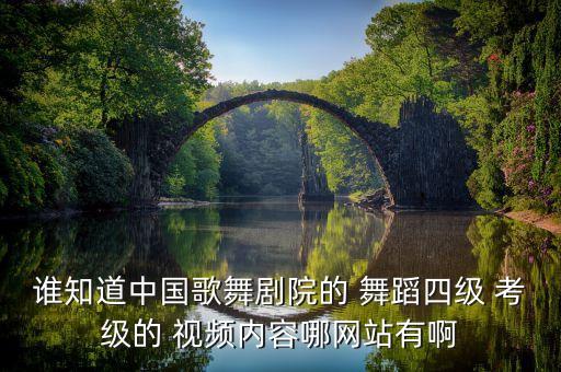 谁知道中国歌舞剧院的 舞蹈四级 考级的 视频内容哪网站有啊