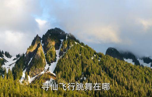 寻仙飞行跳舞在哪