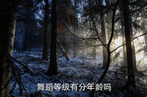 中国舞蹈考级十级青春,华彩中国舞蹈考级十级