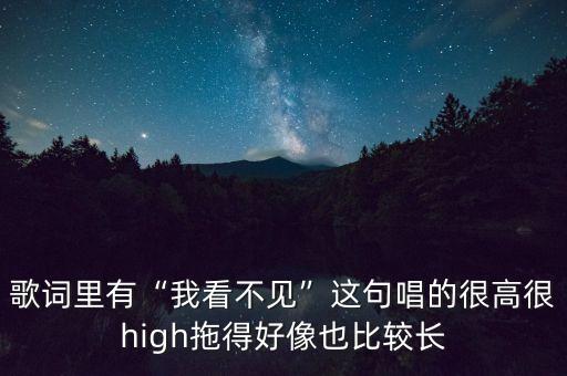歌词里有“我看不见”这句唱的很高很high拖得好像也比较长