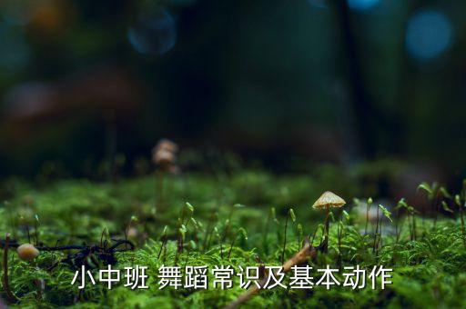 小中班 舞蹈常识及基本动作