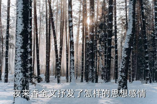 夜来香 少儿舞蹈,舞蹈夜来香完整分解教学