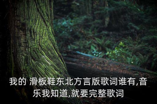 我的 滑板鞋东北方言版歌词谁有,音乐我知道,就要完整歌词