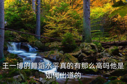 王一博的舞蹈水平真的有那么高吗他是如何出道的