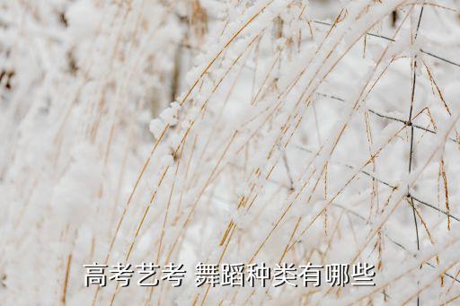 高考艺考 舞蹈种类有哪些