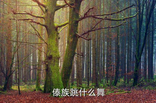  傣族跳什么舞