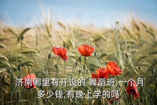  济南哪里有开设的 舞蹈班,一个月多少钱,有晚上学的吗