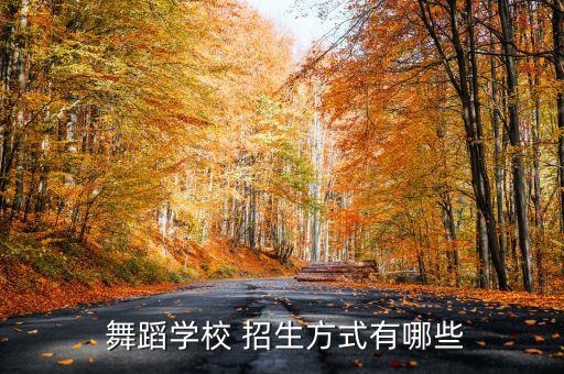  舞蹈学校 招生方式有哪些