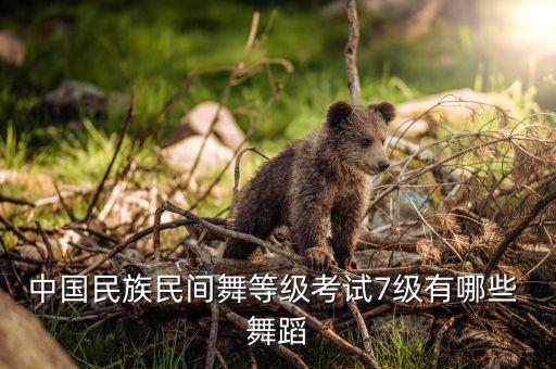 中国民族民间舞等级考试7级有哪些 舞蹈