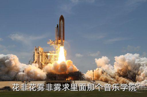  花非花雾非雾求里面那个音乐学院