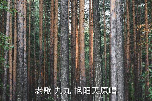 老歌 九九 艳阳天原唱