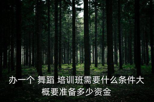 办一个 舞蹈 培训班需要什么条件大概要准备多少资金